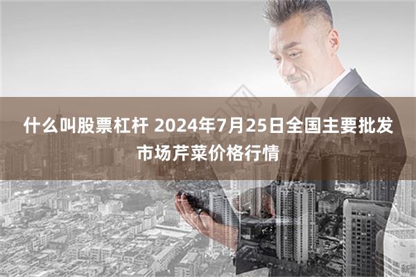 什么叫股票杠杆 2024年7月25日全国主要批发市场芹菜价格行情