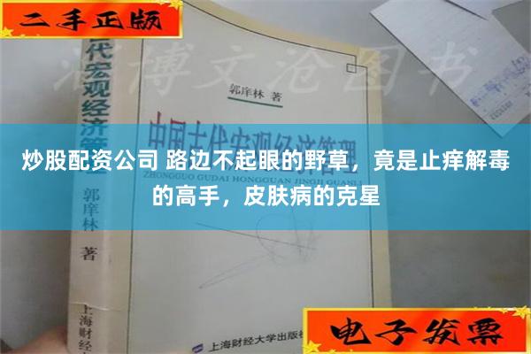 炒股配资公司 路边不起眼的野草，竟是止痒解毒的高手，皮肤病的克星