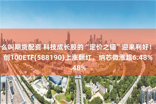 什么叫期货配资 科技成长股的“定价之锚”迎来利好！科创100ETF(588190)上涨翻红，纳芯微涨超6.48%