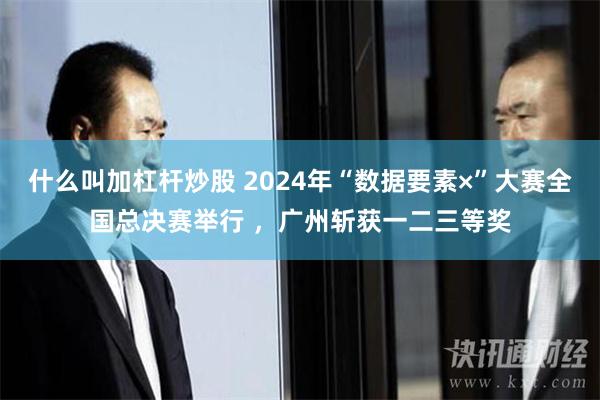 什么叫加杠杆炒股 2024年“数据要素×”大赛全国总决赛举行 ，广州斩获一二三等奖