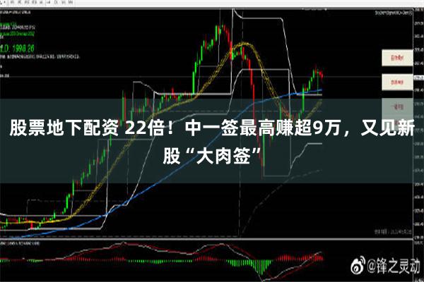 股票地下配资 22倍！中一签最高赚超9万，又见新股“大肉签”