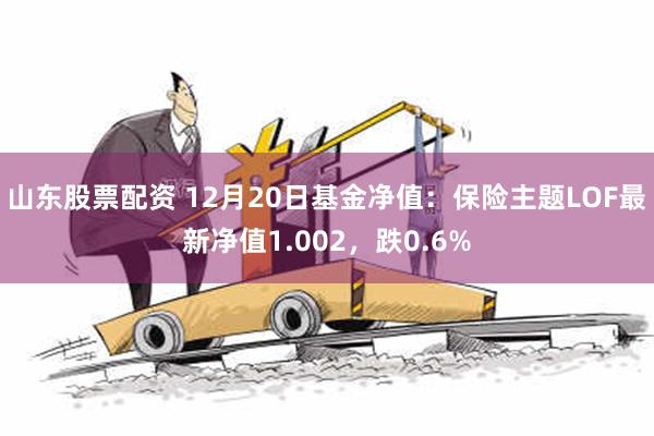 山东股票配资 12月20日基金净值：保险主题LOF最新净值1.002，跌0.6%